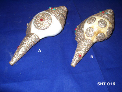 Conch Shell for Buddhist Ceremony